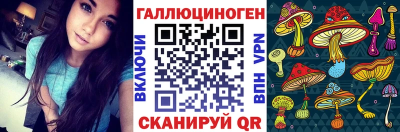 закладка  Чехов  KRAKEN сайт  Галлюциногенные грибы ЛСД 